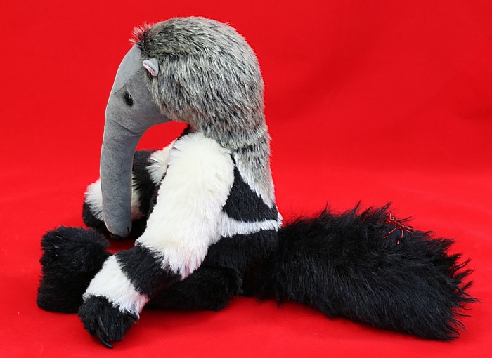 anteater0205.jpg