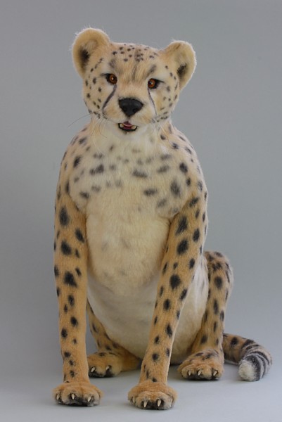 cheetah1919.jpg