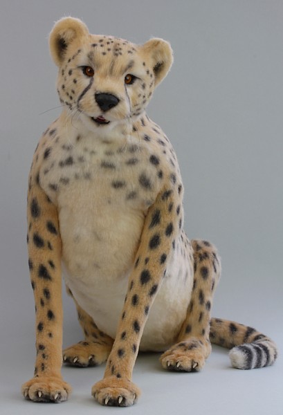 cheetah1927.jpg