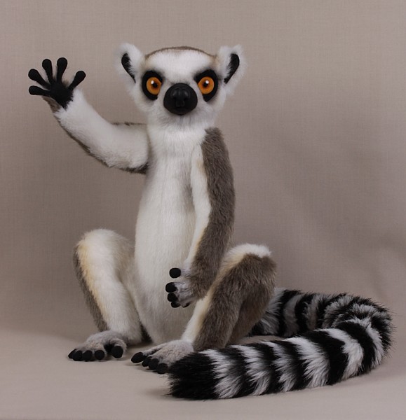 lemur4304.jpg