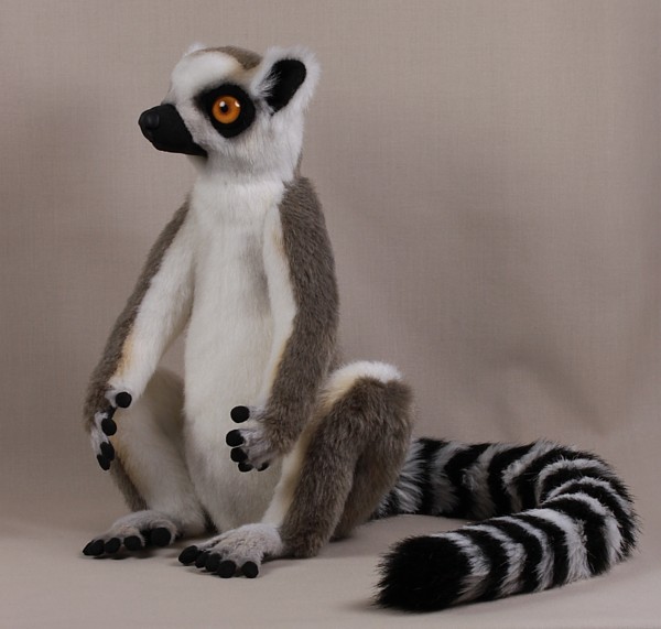 lemur4307.jpg