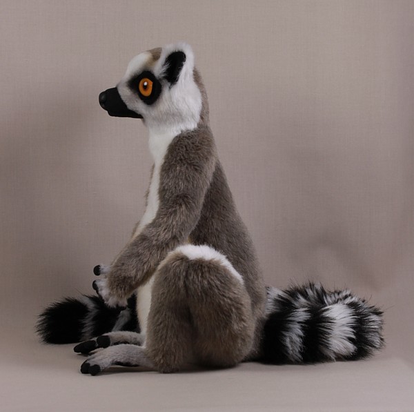 lemur4309.jpg
