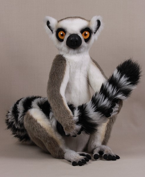 lemur4314.jpg