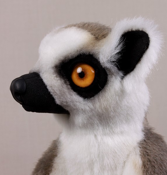 lemur4316.jpg