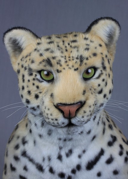 leopard3327.jpg
