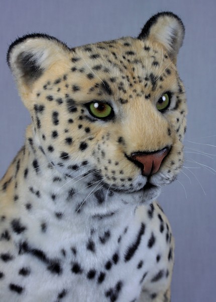 leopard3336.jpg