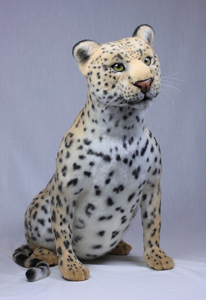 leopard3359.jpg