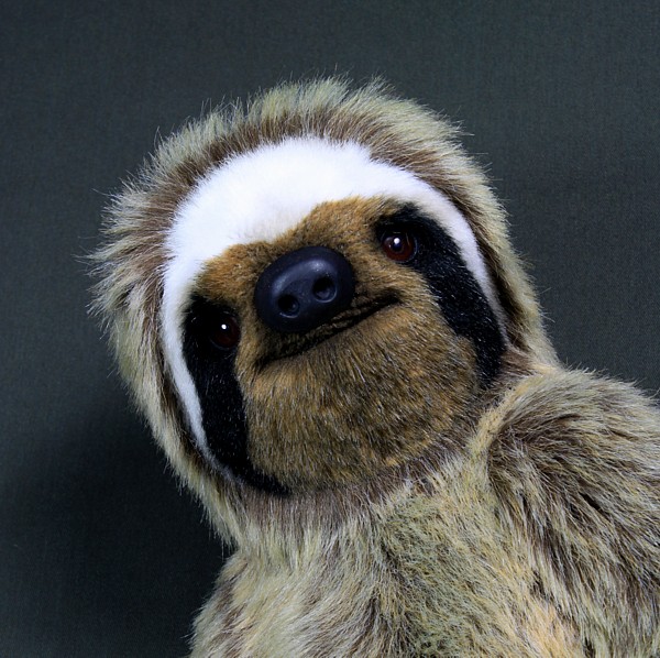 sloth2169.jpg
