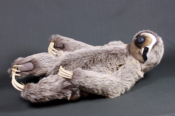 sloth4749.jpg