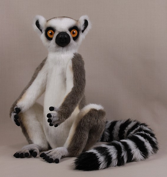lemur4302.jpg